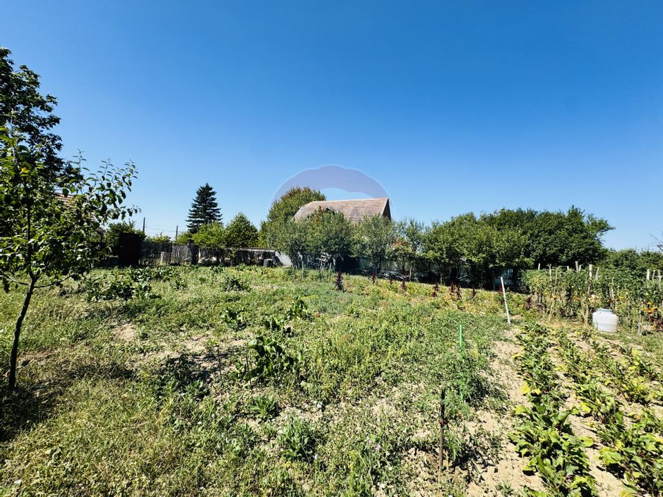 Teren 6,210mp Apateu / Strada Principala