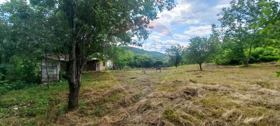 Land 3,551sqm Poiana Copaceni / Strada Poiana Copaceni