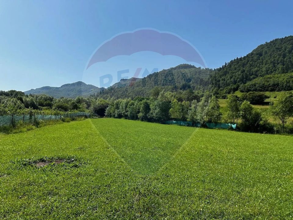Land 2,432sqm Zarnesti / Strada fara nume