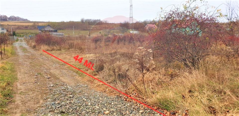 Land 1,000sqm Fantanele (Hemeius) / Strada Liliacului