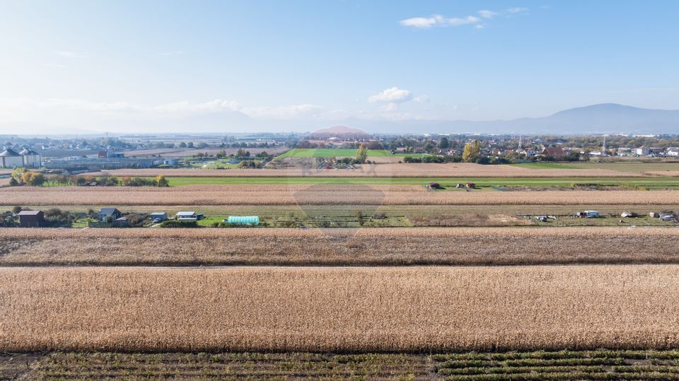 Teren Brasov -Strada Aron Pumnul, 520 mp, 5 loturi