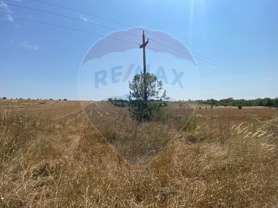 Teren cu hală, Bucsani, Crevedia / DN 61 (A1, A0) 40 Km de București