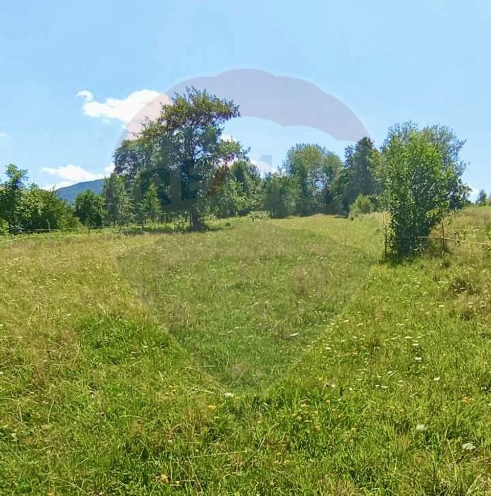 Teren 1,915mp Breb / Drumul Principal