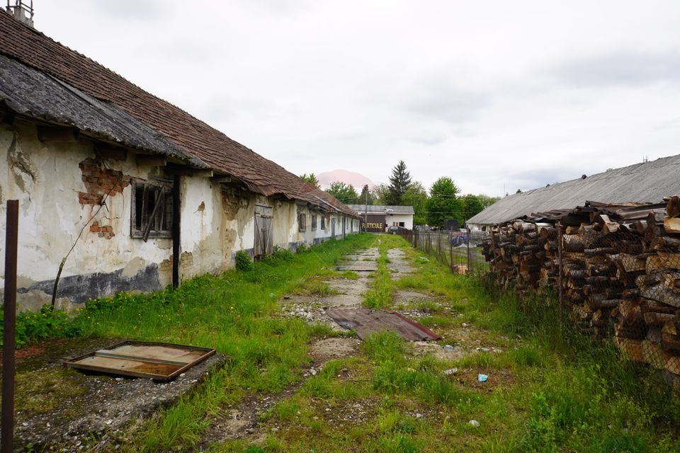 Land 10,941sqm Sighetu Marmatiei / Strada Faget