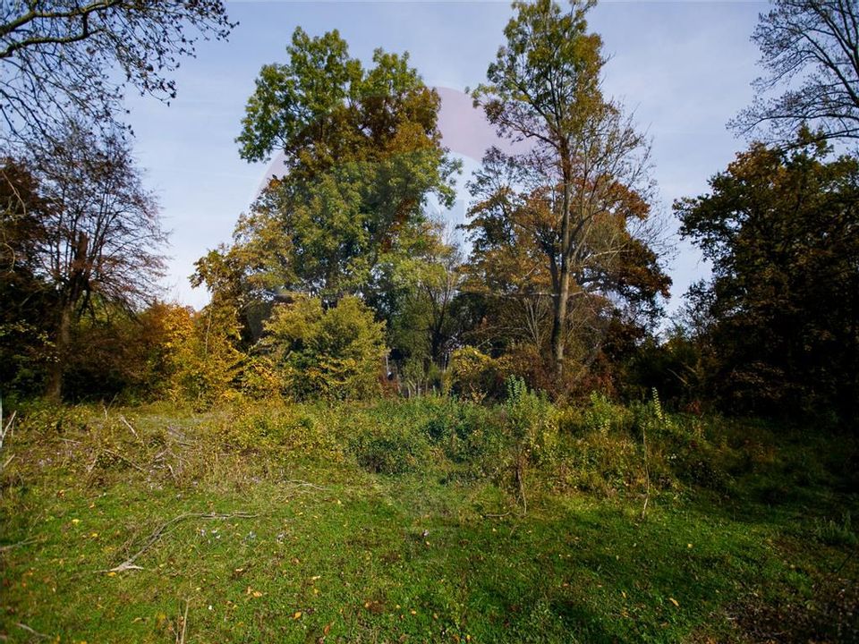 Domeniu Baronial de vanzare in localitatea CIL , Judet Arad