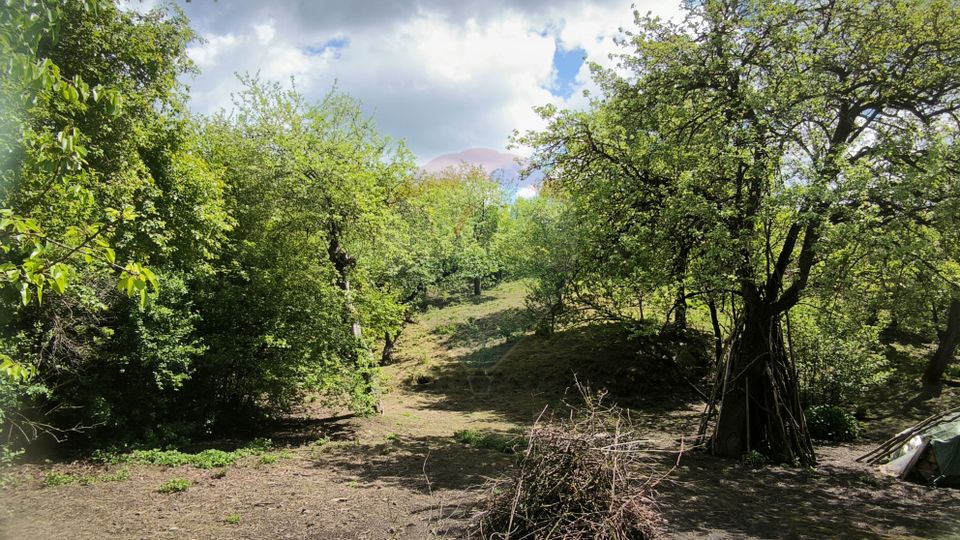 Land 3,269sqm Slimnic / Strada Dupa Cetate