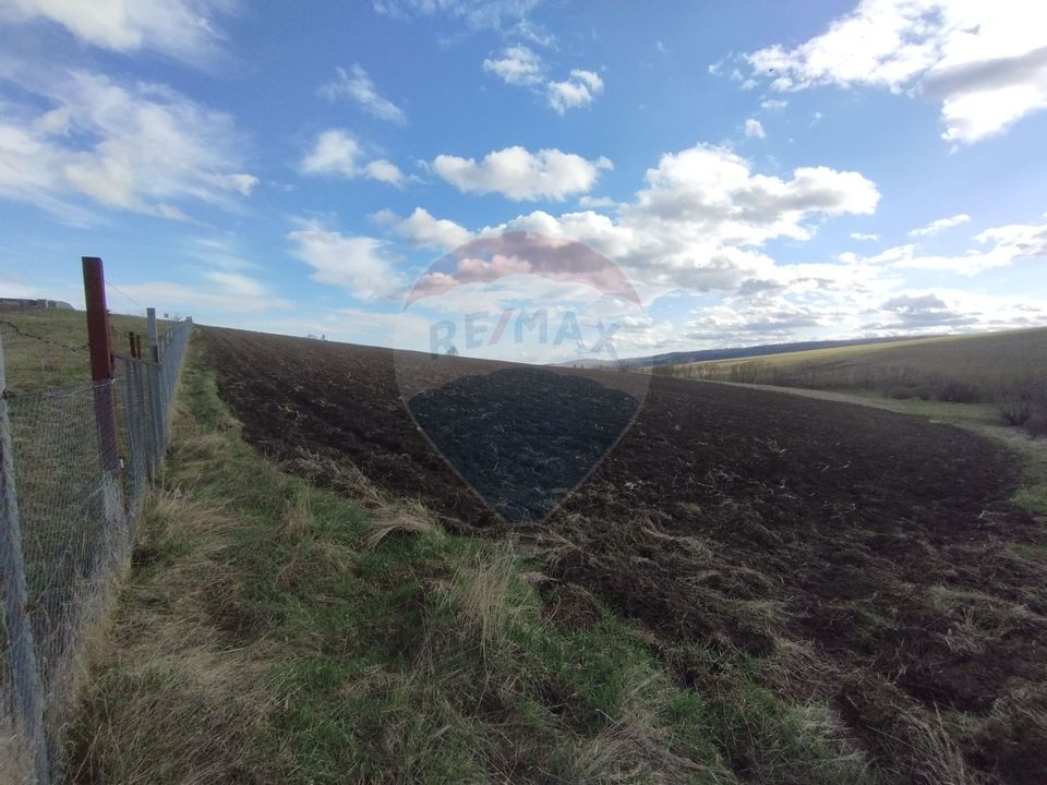 Teren Bodesti / Strada OSLOBENI LANGA MANASTIREA DUMBRAVELE