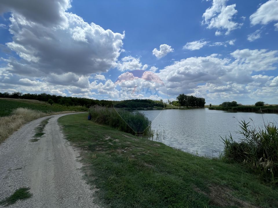 Teren intravilan 4350mp, acces auto. Balta Pasarea, Frumusani