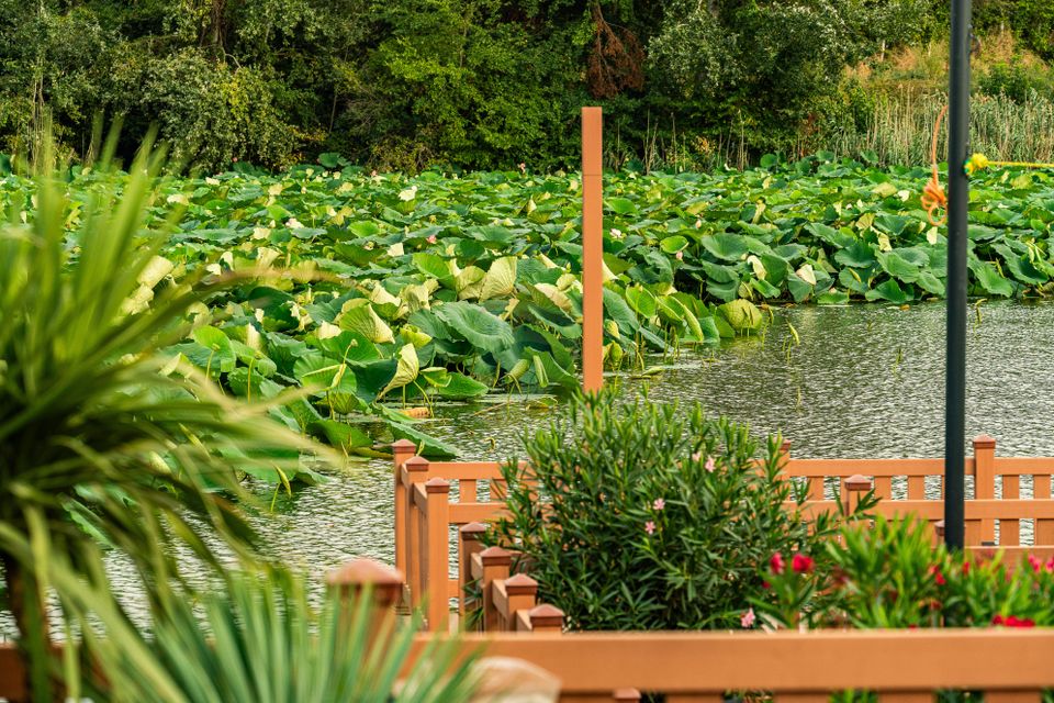 Vila cu 4,5,6  camere de vanzare in Marina Snagov