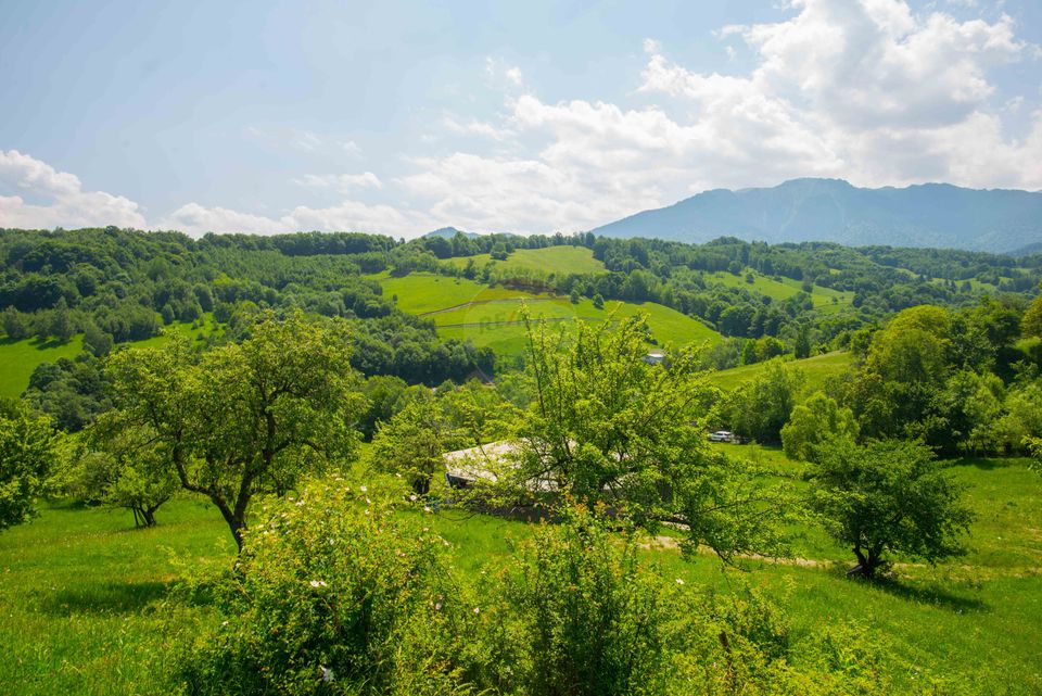 Teren cu utilitati, 5,495mp Bran - Strada Muchia hotarului