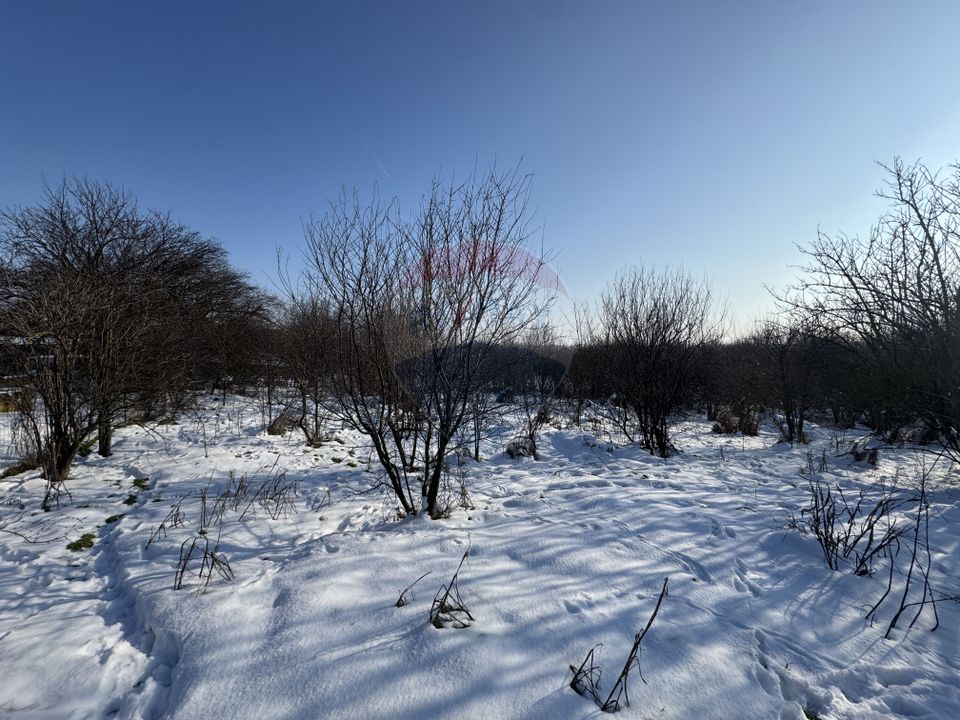 Land 4,870sqm Sintesti / Soseaua Principala