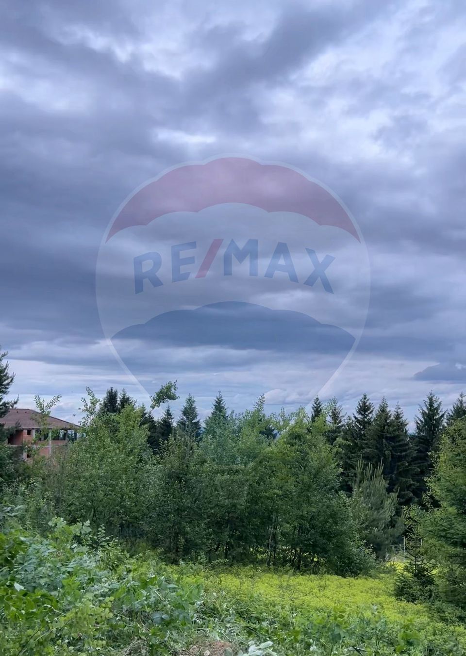 Teren Sacele / Strada Valea Larga 2000 mp