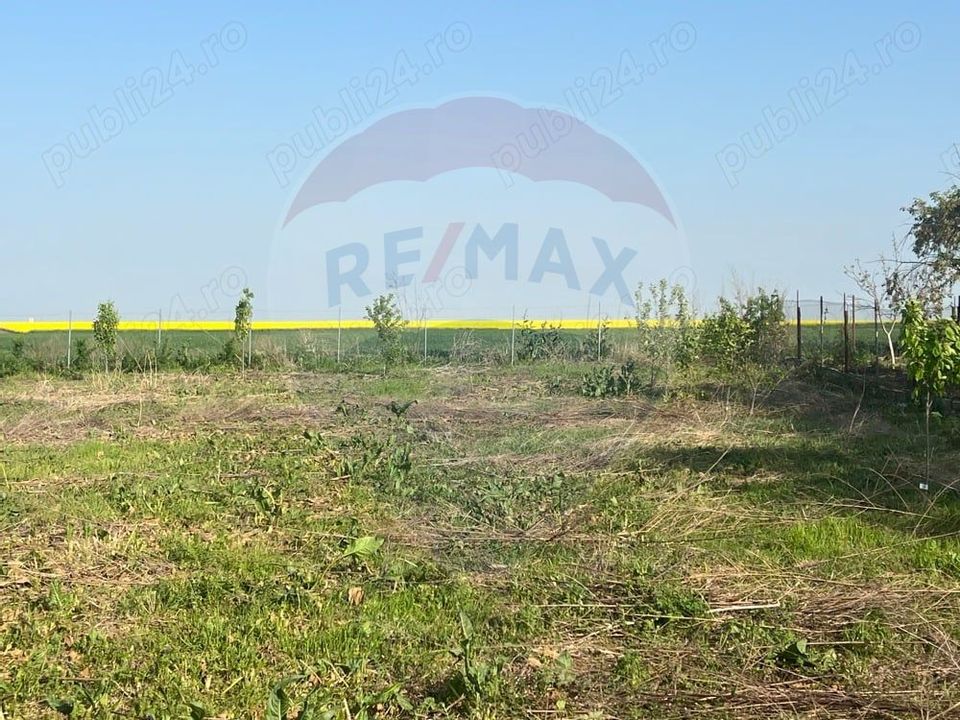 Land 2,417sqm Gelu / Drumul Principal