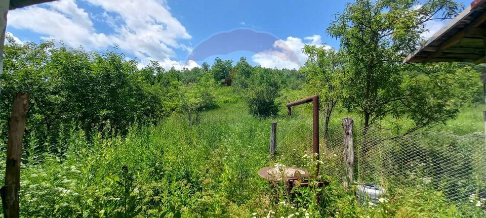 Land 3,551sqm Poiana Copaceni / Strada Poiana Copaceni