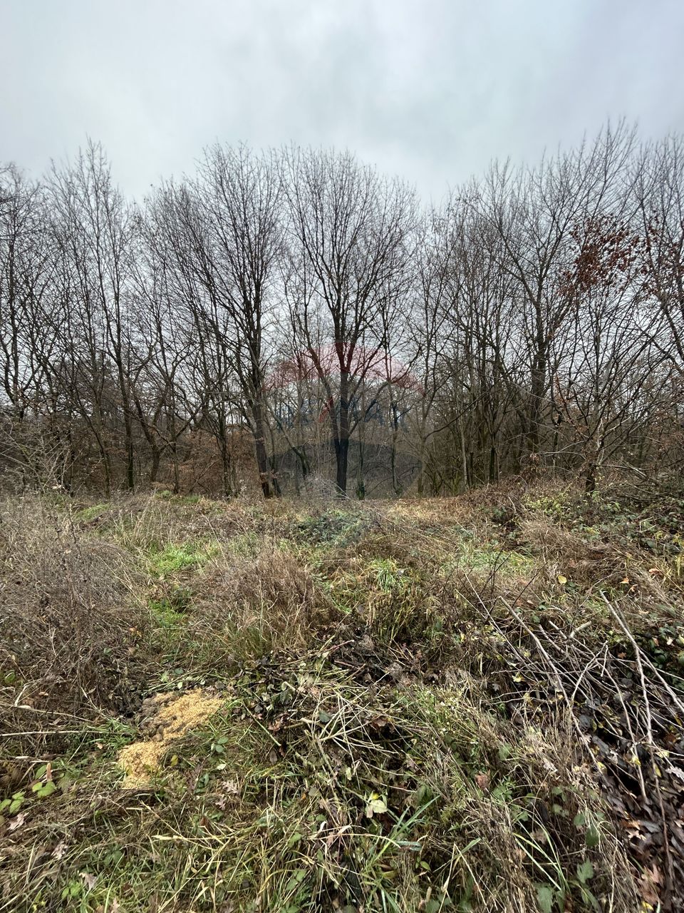 Teren 1,200mp si 400m2 cota drum Satu Nou de Jos / Strada Principala