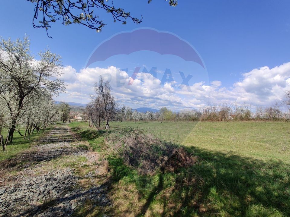 Teren intravilan pentru casă Cărbunari