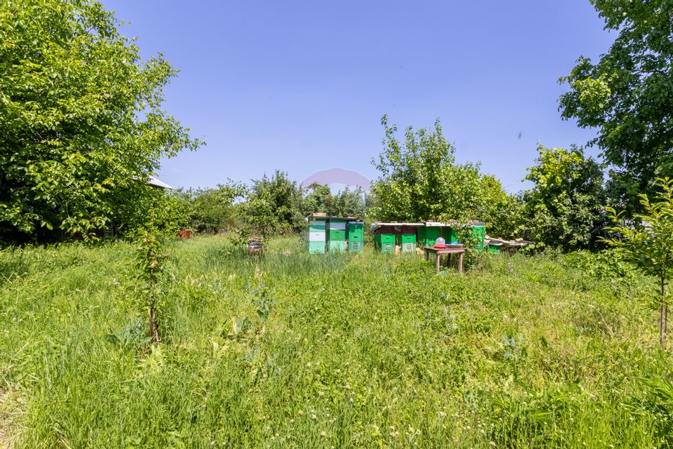 Proprietate versatilă cu casă, două hale și teren generos