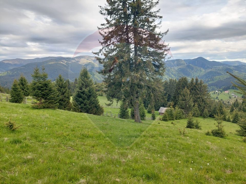 O fereastră către cer – teren de vis în Fundata, la poalele Bucegilor