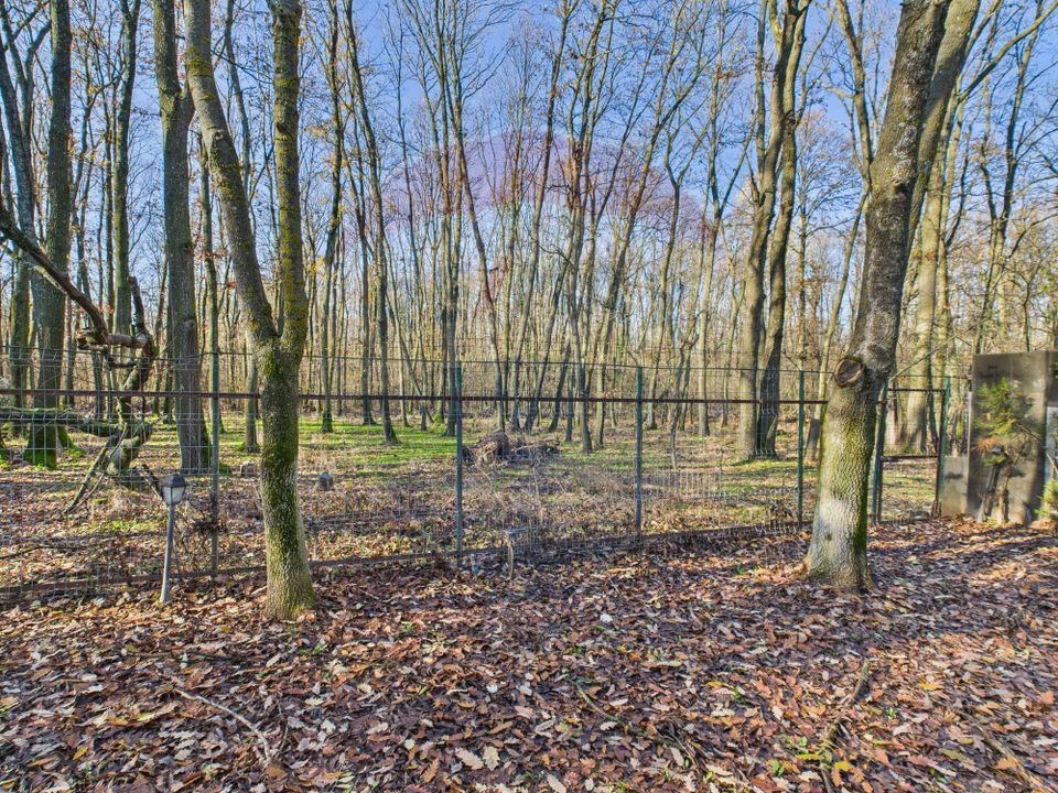 De vanzare | Vila in Paradisul Verde cu gradina si padure proprie |