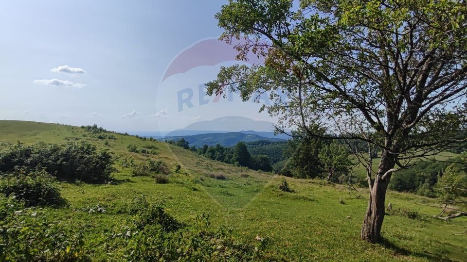 Teren 130000 mp extravilan Munteni - Bulz, Negreni