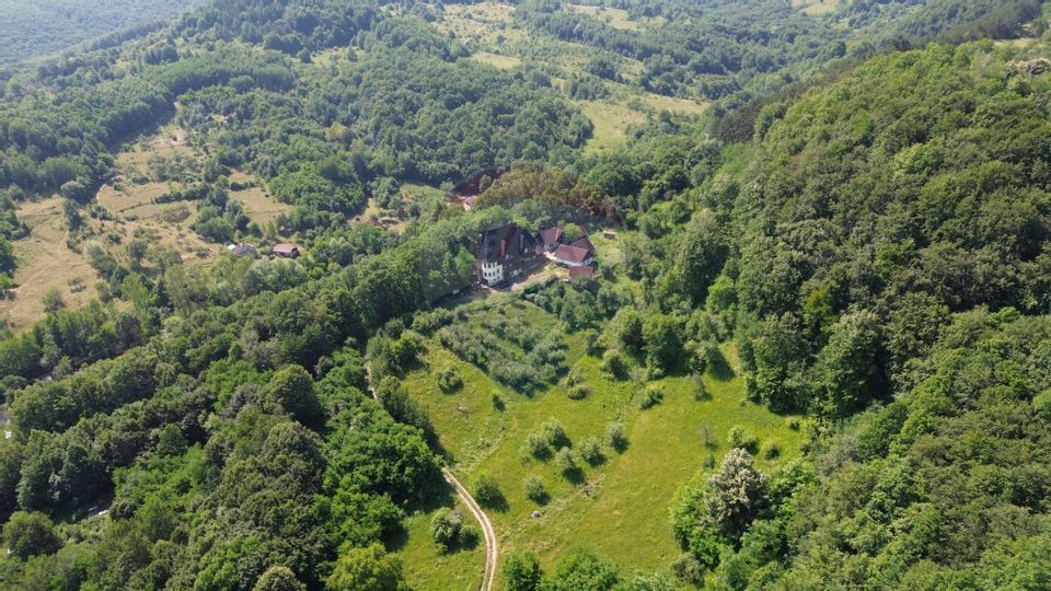 DE VANZARE CASTEL IN MARAMURES