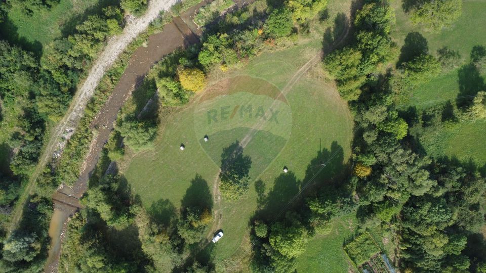 Teren 10.000 mp Calatele – Apuseni, langa rau, ideal investitie turism