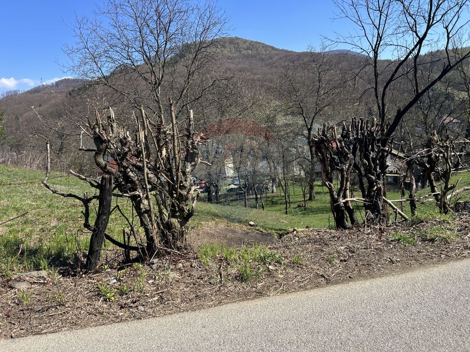 Land 1,106sqm Baia Mare / Strada Firiza