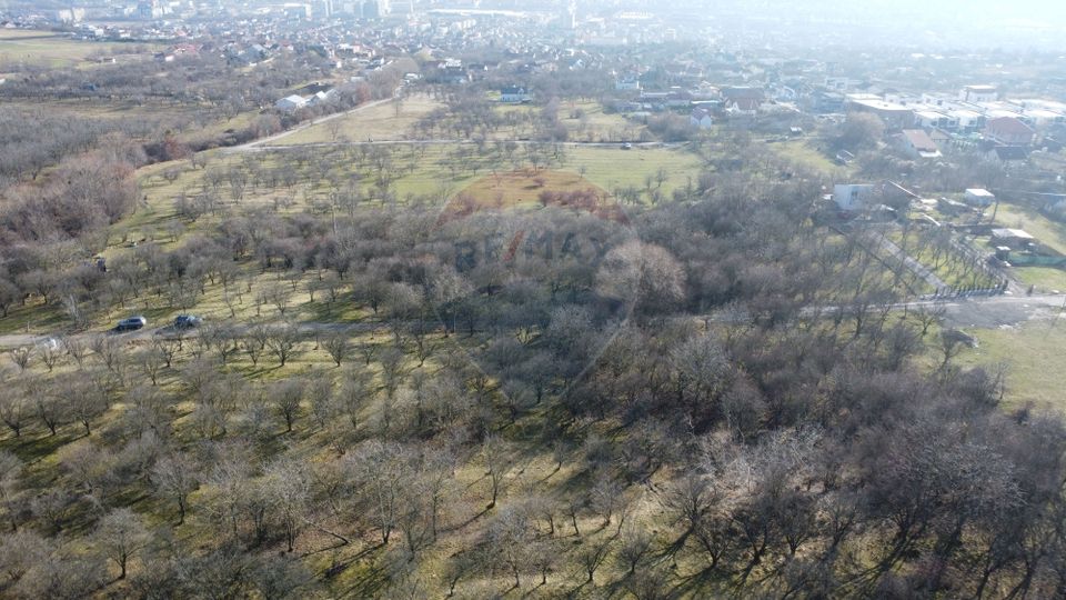 Teren 20.146 mp Dâmbu Rotund (Lomb).Extravilan.Potențial rezidențial