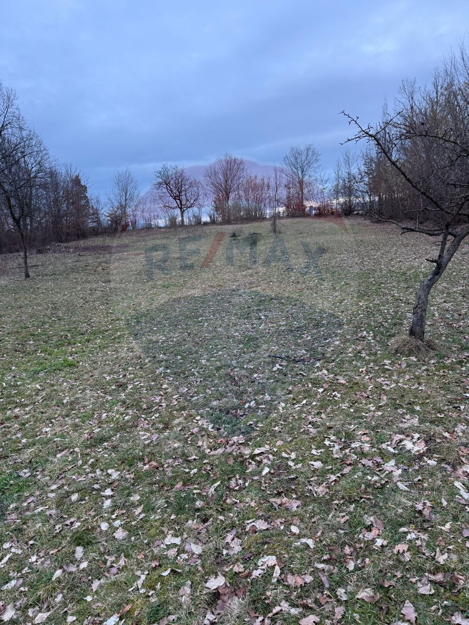 Teren intravilan cu priveliste de vanzare in Rus