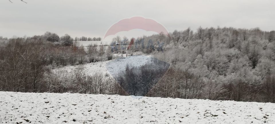 Land 7,800sqm Sinteu / Drumul Valea Tarnei