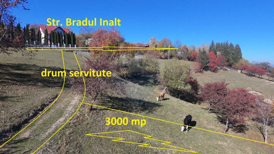 Teren valoros 3,000mp BRAN/Utilitati/Pensiune/Priveliste panoramica