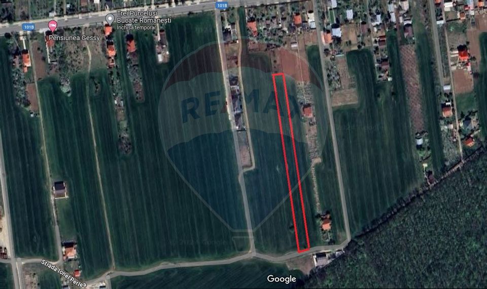 Land 4,370sqm Vladiceasca / Soseaua Vladiceasca