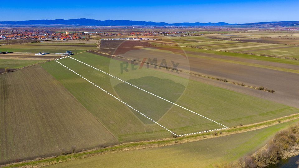 Teren 21,893mp Bod / Comision 0% cumpărător