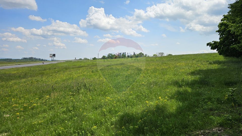 Teren Ilisesti  7000mp extravilan/ DN 17, Suceava