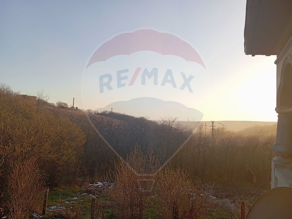 Conac Brancovenesc cu Panorama Deosebita la 12 km de Craiova