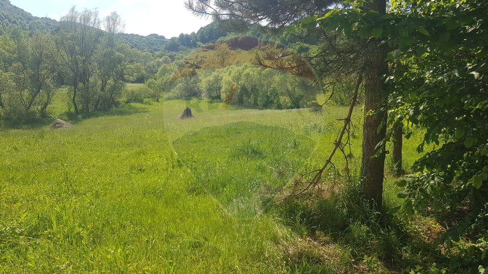 Casă de locuit sau de vacanta de vânzare - Sat Inau langa Targu Lapus