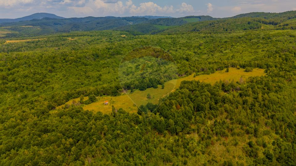 COMISION 0% Teren Grid/Inima Naturii/ Oportunitate de investiție