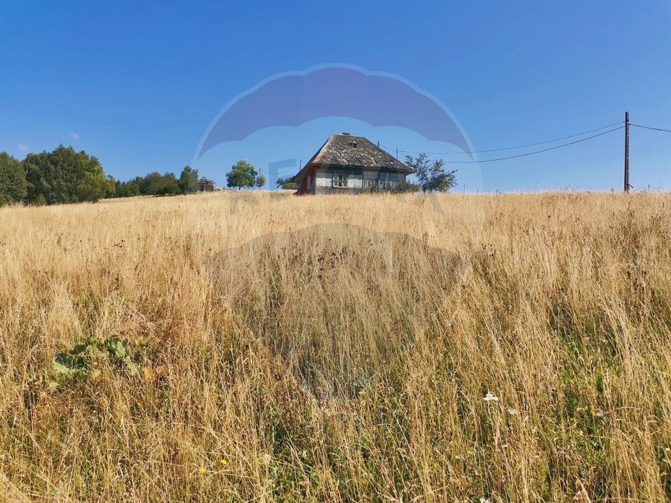 Land 10,259sqm Sirnea / DJ 730