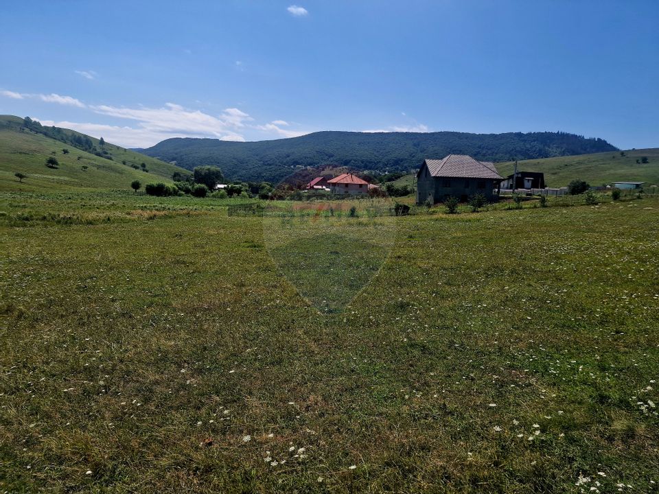 Land 5,000sqm Piatra-Neamt / Strada Punct Petruca