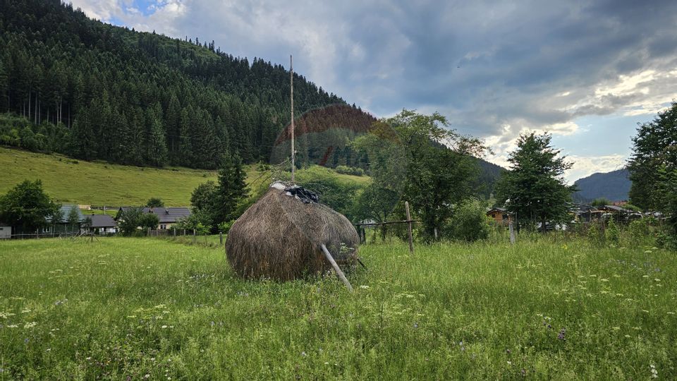 Casa 225 mp, teren intravilan 4822 mp C. Moldovenesc, Suceava