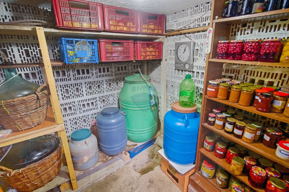 Casă de Om Gospodar - Costuleni - Grădină 2093 mp -0% Comision 0% TVA