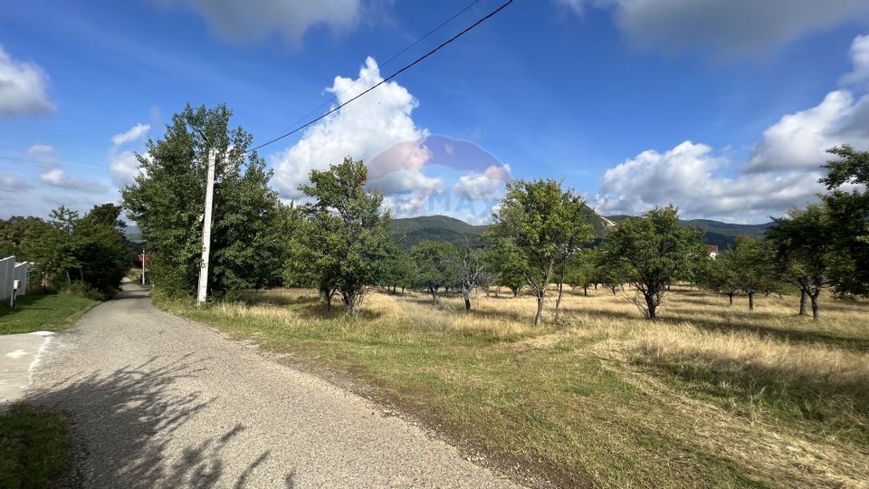 Land 5,155sqm Baia Sprie / Strada Dragos Voda