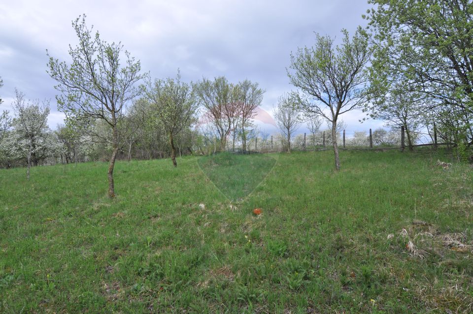 Land 2,811sqm Masca / Strada Principala