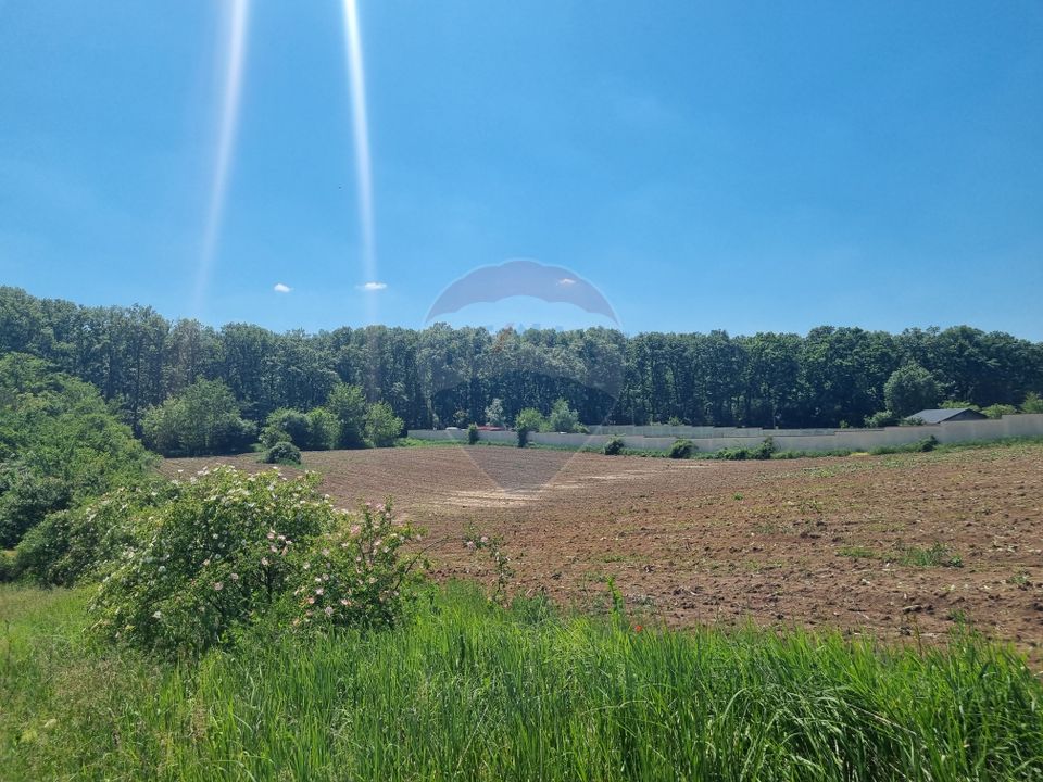 Land 872.43sqm Snagov / None