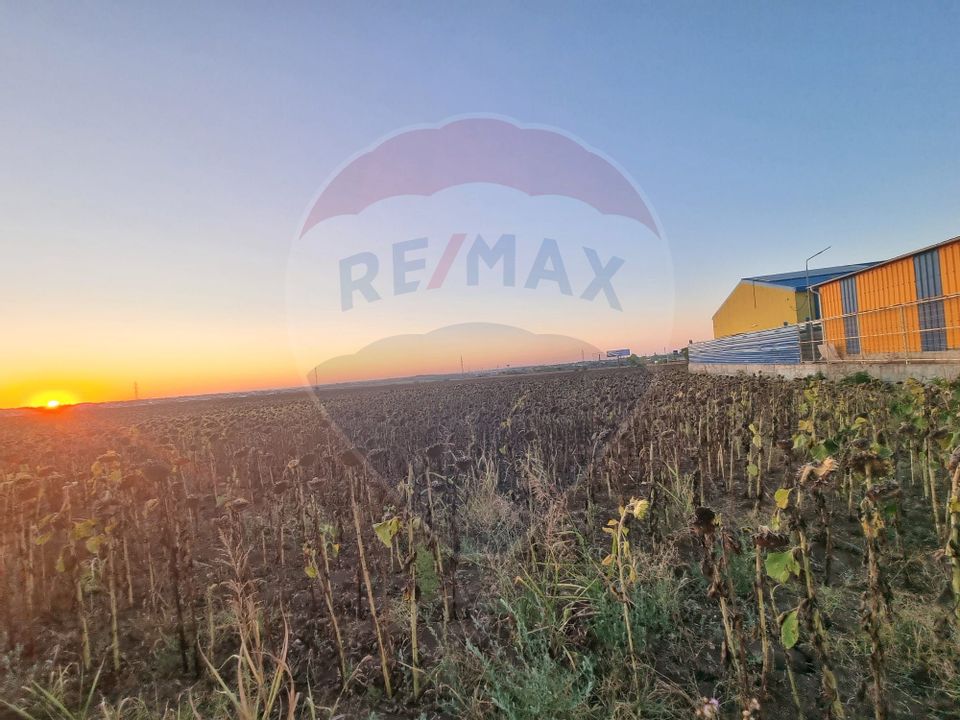 Teren 10,000mp Mangalia-Limanu / Drumul 391