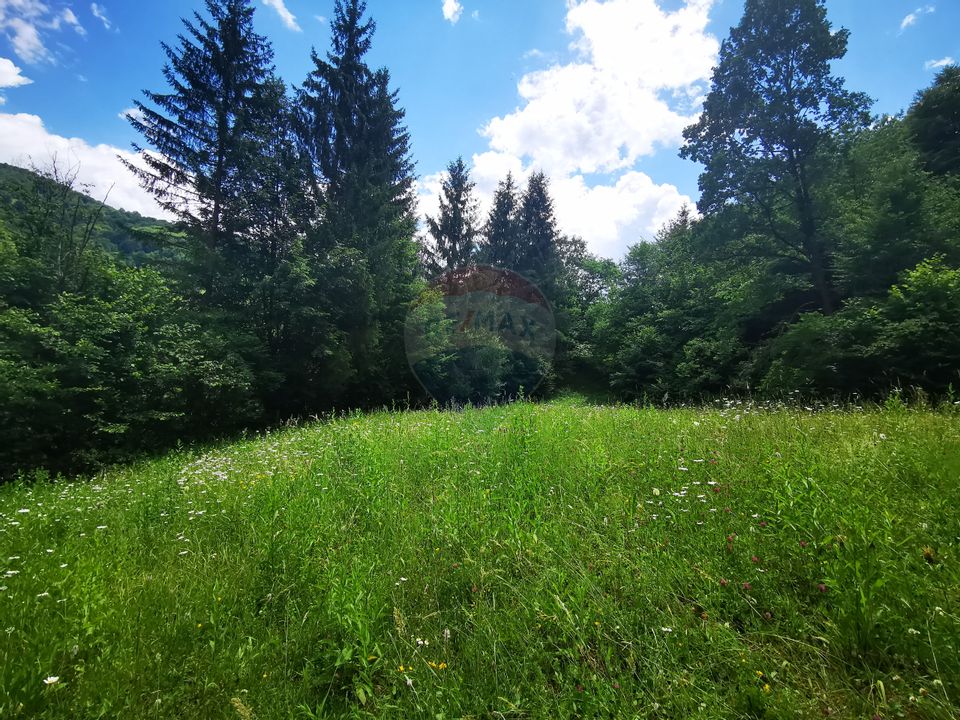 Land 4,782sqm Oantu / Strada Oantu