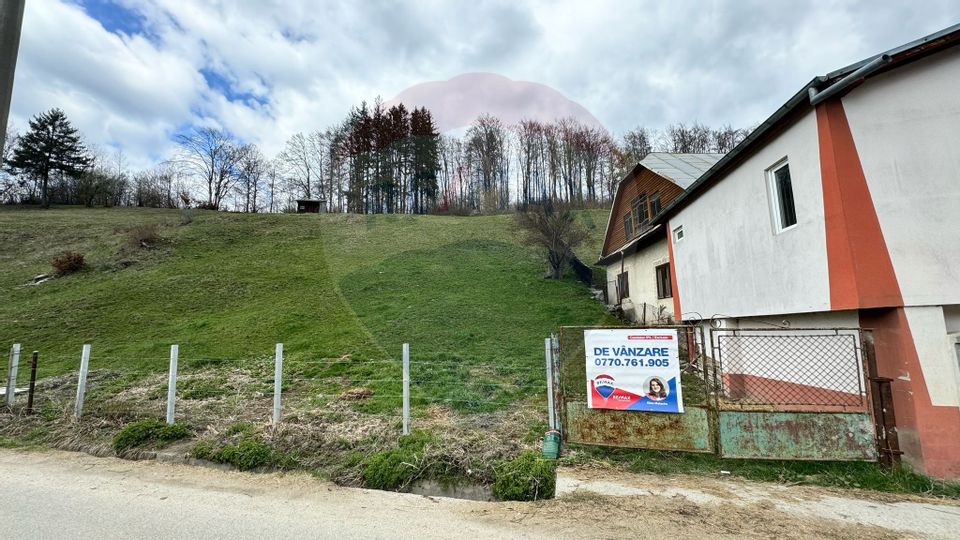 Teren generos, dar ieftin, in Nămăești - Argeș