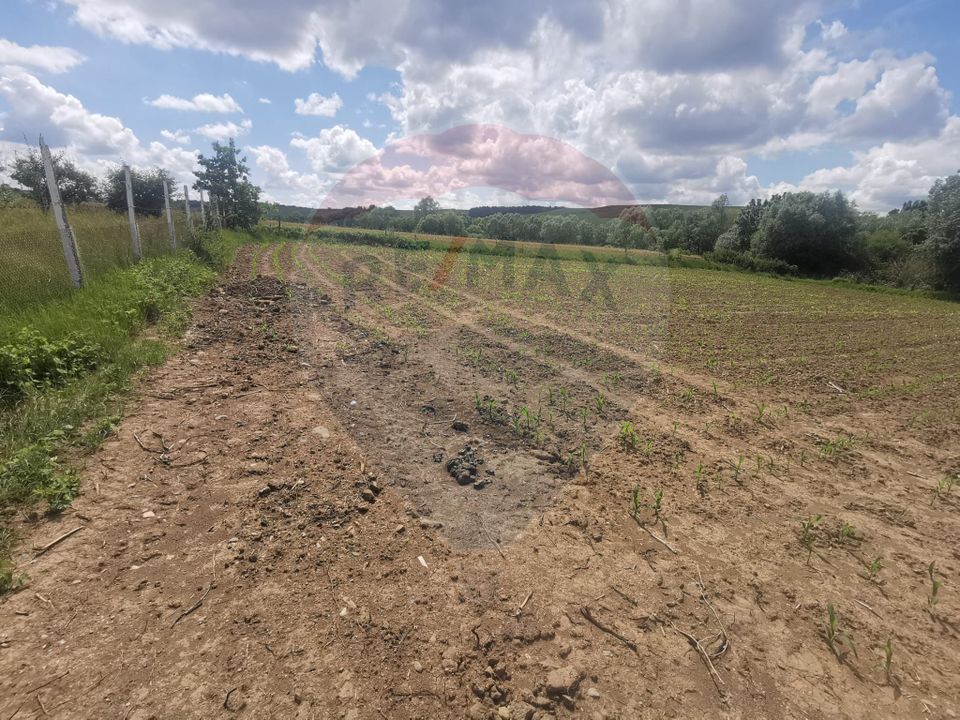 DE VÂNZARE TEREN INTRAVILAN SAU PARCELA – Șomcuta Mare (0% comision)