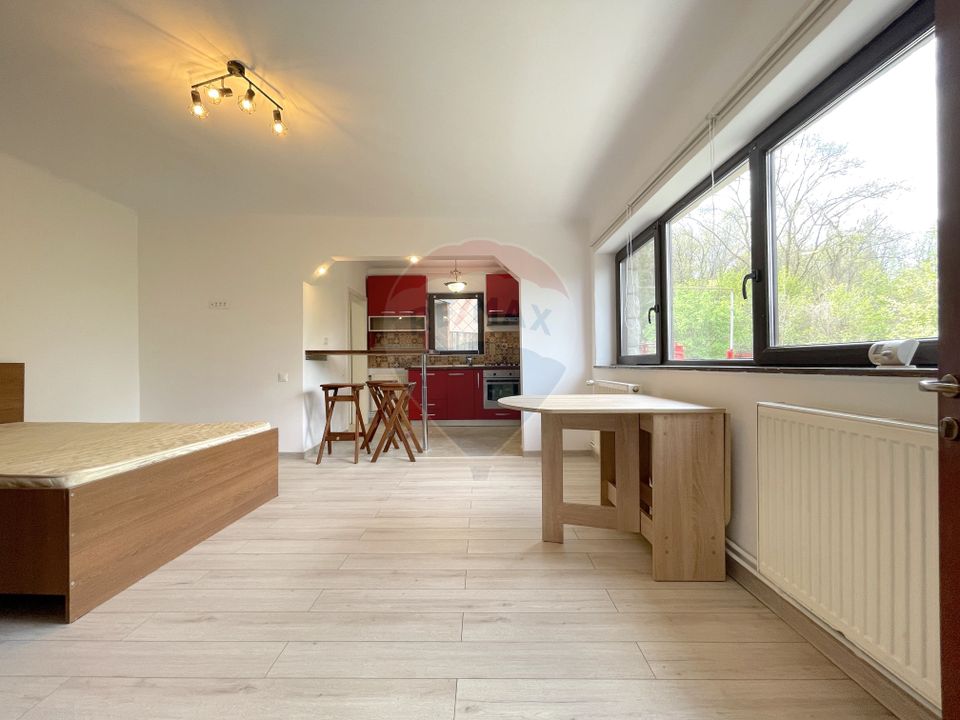 Apartament cu 2 camere de închiriat în zona Drumul Poienii