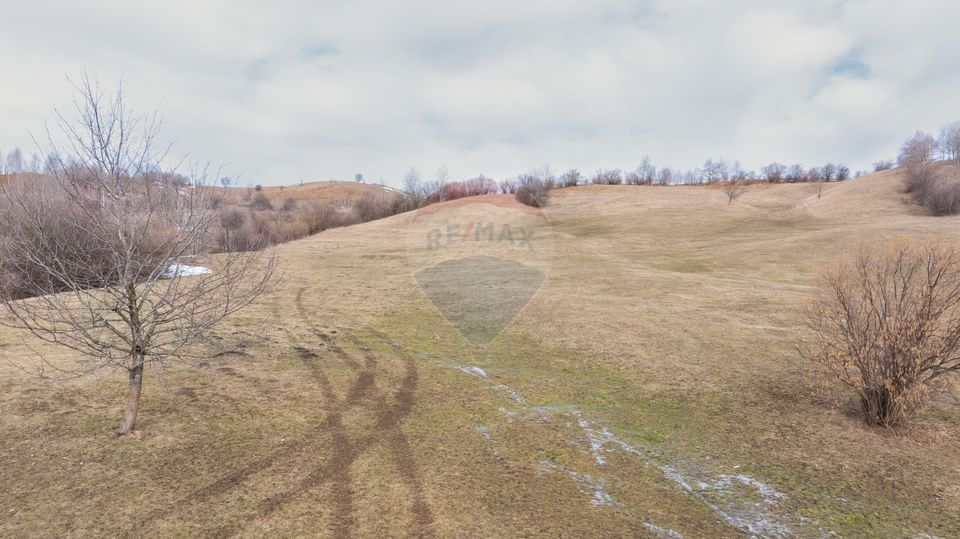 Land 5,602sqm Tohanu Nou / Strada Pe tarina